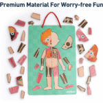 ⁦Mideer Body Magnetic Puzzle CT7013 ميدير لغز الجسم المغناطيسي⁩ - الصورة ⁦6⁩