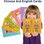 ⁦Mideer Body Magnetic Puzzle CT7013 ميدير لغز الجسم المغناطيسي⁩ - الصورة ⁦5⁩