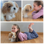 ⁦Interactive Plush Dog Toy – Walking, Talking & Voice Recording Puppy for Kids كلب لعبة تفاعلي يمشي ويتكلم مع تسجيل الصوت للأطفال⁩ - الصورة ⁦3⁩