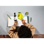 ⁦Telescope & Microscope for Kids – Discovery Science Kit تلسكوب وميكروسكوب للأطفال 2 في 1 – مجموعة الاستكشاف العلمية (تكبير 20X و 250X)⁩ - الصورة ⁦4⁩