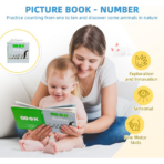 ⁦TOOKY TOY Montessori Math Play Box – BCTJ687 صندوق مونتيسوري الرياضيات التعليمي الخشبي⁩ - الصورة ⁦7⁩
